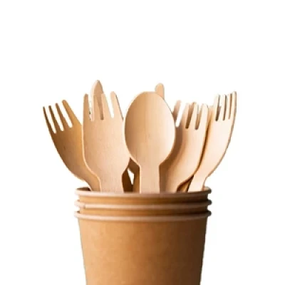 Disposable Cutlery