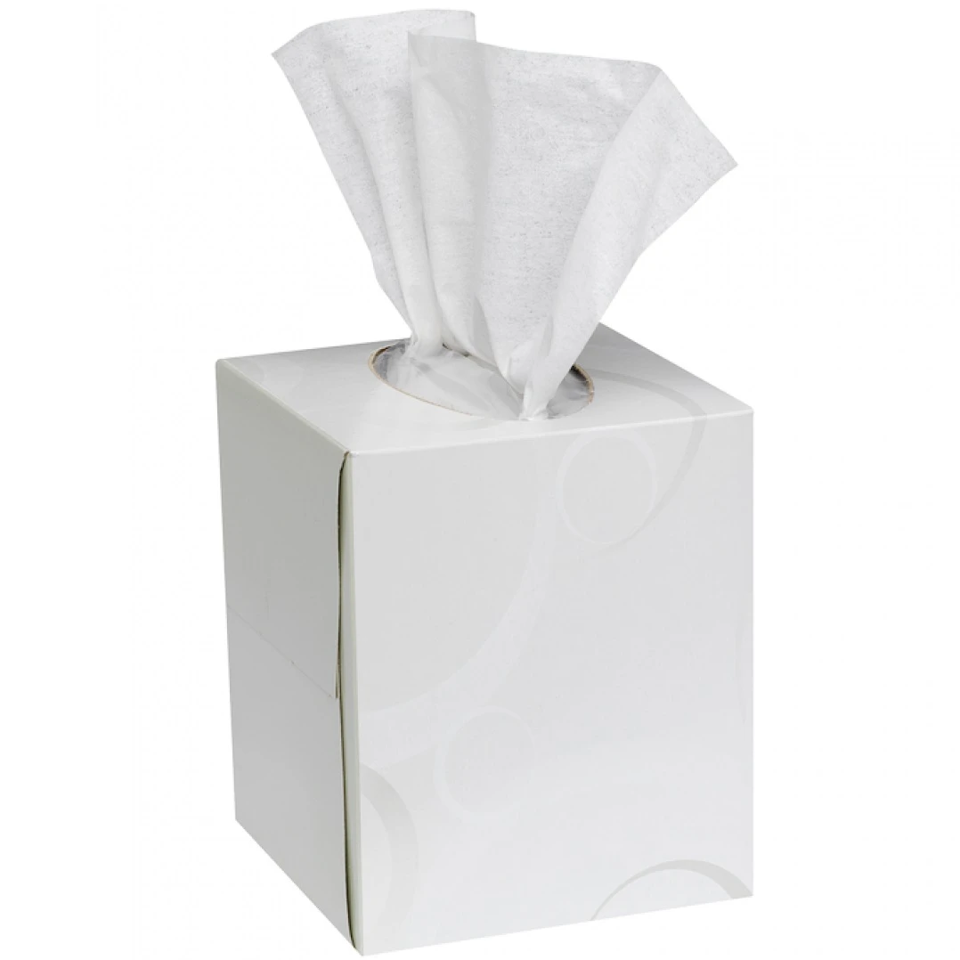 JanSan Boutique Cube Facial Tissues White 