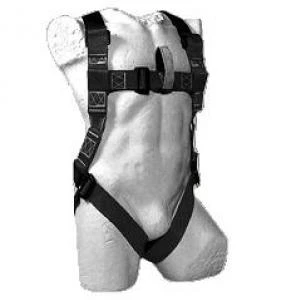 Full Body Harness with 2m Lanyard 