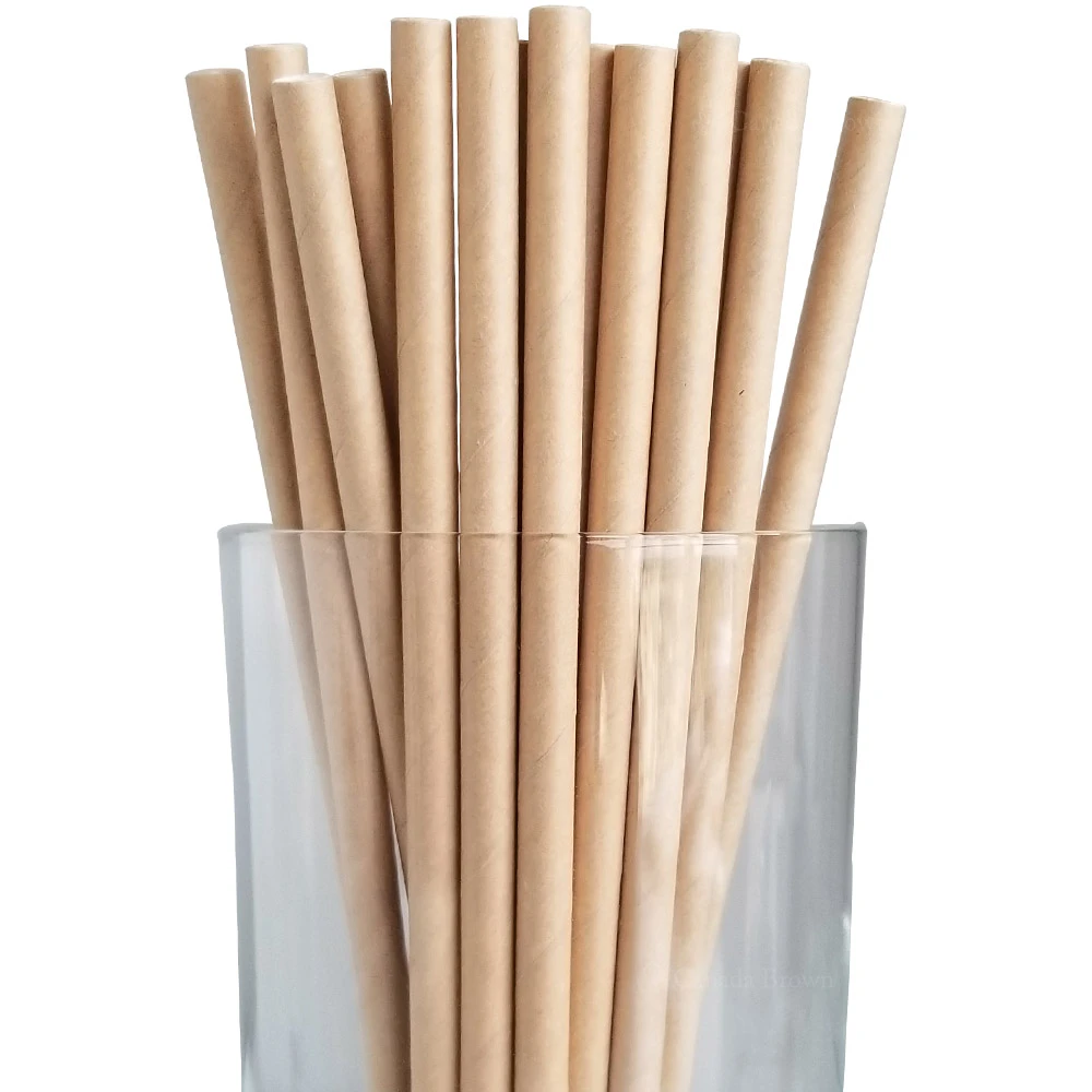 JanSan Paper Straight Jumbo Straw 200mm Kraft